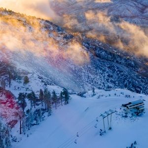 Meet your Posher, Cyrus